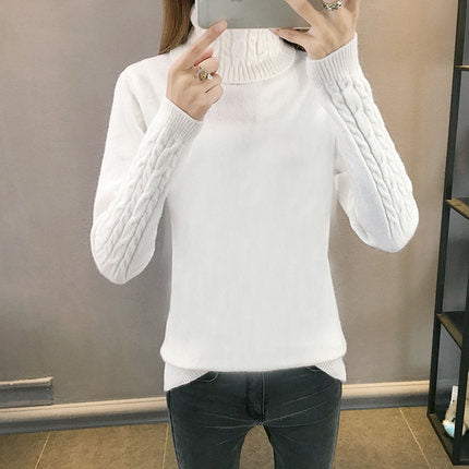 W&W Mode | Weicher Hochgeschlossener Pullover Mit Kaschmir Gefühl