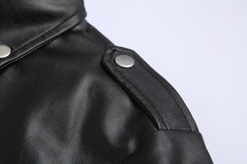 W&W Mode | Lederjacke für Herren | Slim Fit | Stehkragen | Winddichte Motorradjacke